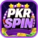 PKRSPIN Game