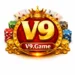 V9 Game