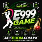 E999 Game